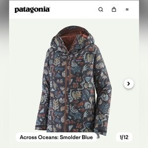 Patagonia Multicolor Patterned Hooded Jacket